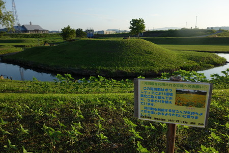 6-諫早ドックランDSC08024