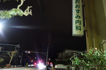 1-がじゅまるDSC00279