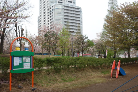 17-東品川海上公園DSC06555