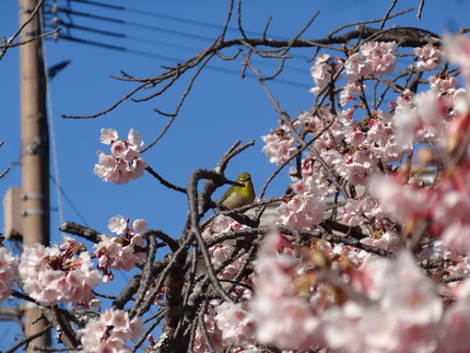 10-諫早公園DSC01055
