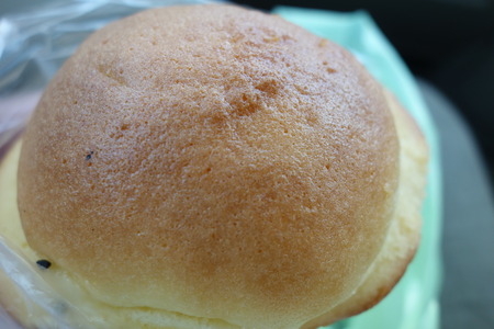 12−ペルルDSC07368