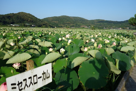 12-DSC09469