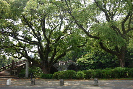 1-諫早公園 蛍DSC05749