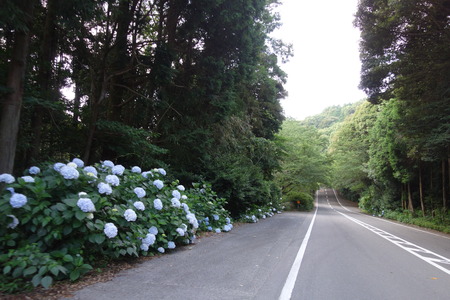 2-DSC09438