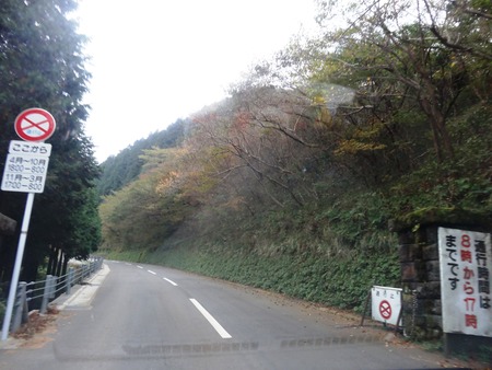 3-DSC09900
