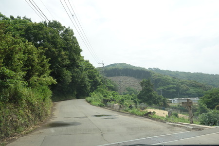 21−諫早市森山町 恵あじさい園DSC02750