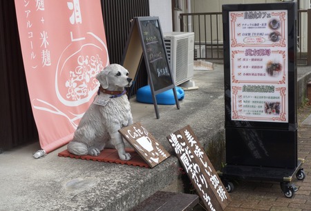 22-キンカン健康館DSC09533