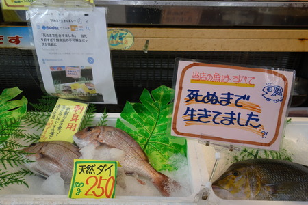 10-竹野鮮魚DSC09721