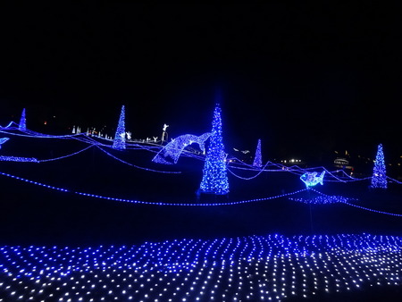 16-DSC01748