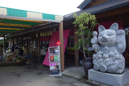 3−吾妻の里DSC02822