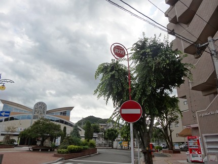 1-ソノラDSC00578