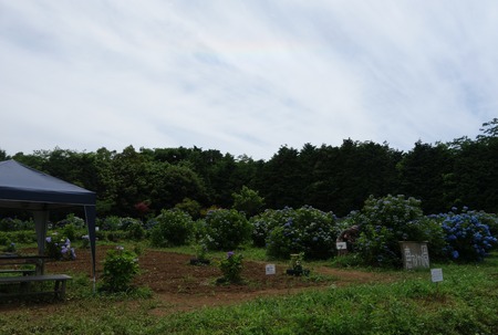 13-DSC07829