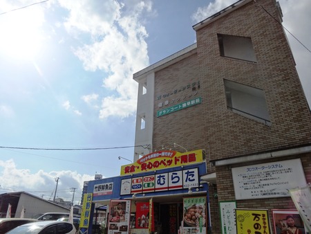 2-DSC00149
