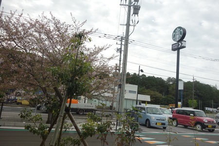14-スターバックス諌早多良見店DSC01558