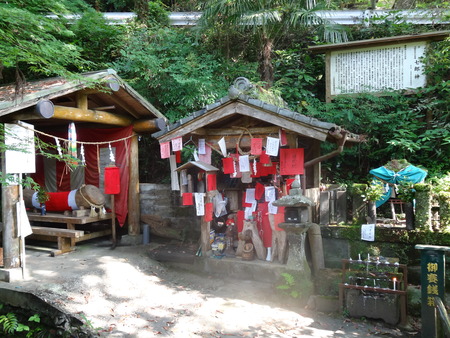 10-DSC02694