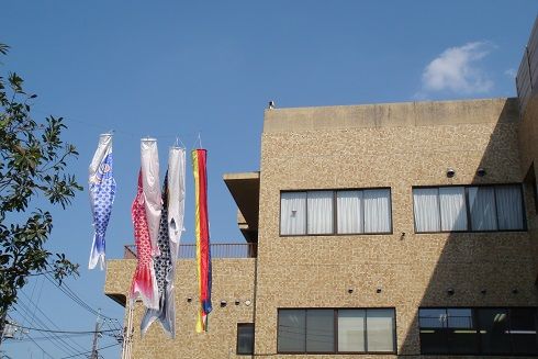DSC01456