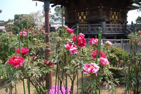 DSC01449