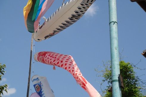 DSC01429