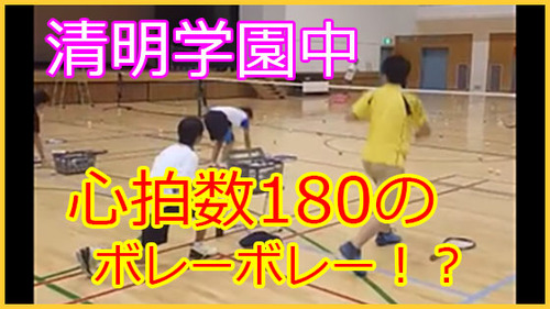 seimei_dvd