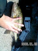 bass