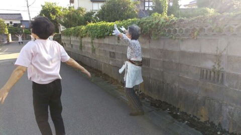 中山体操