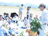 17畑の野菜を採りにいこう 026