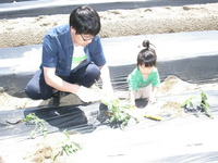 17畑の野菜を採りにいこう 013