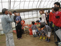 16畑の野菜を取りに行こう 013