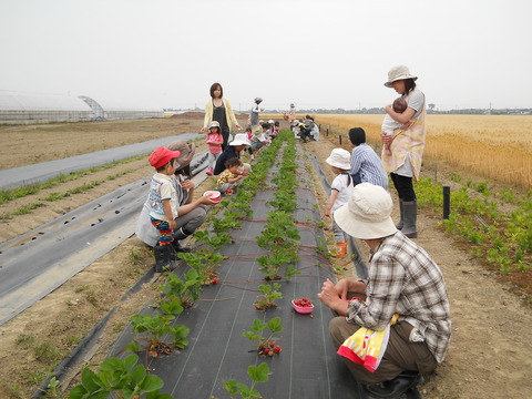 こりす2012年度 001