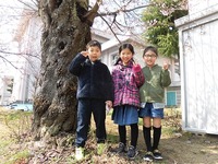 4月校庭遊び4