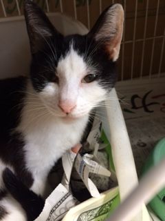 ¡ÄÚÀîÇò¹õ¥á¥¹