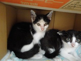 DSC04407