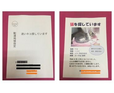 3f05c624-s