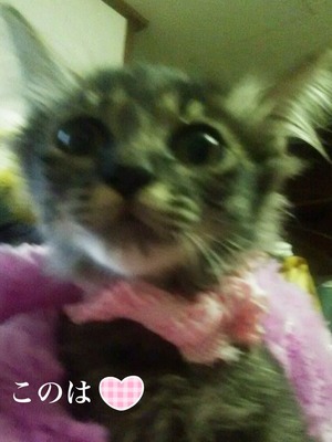 2016-09-11-10-07-58