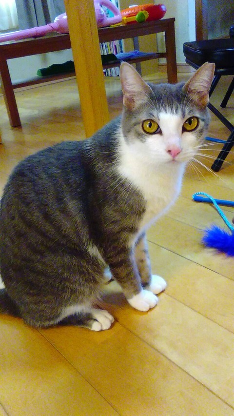 13287817-524E-40AE-AFBC-D1923B2958A4