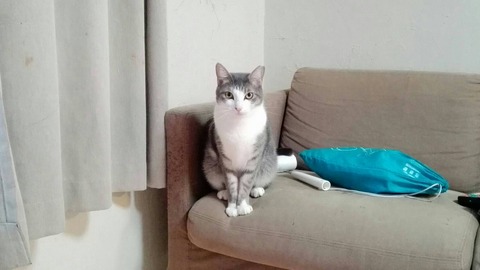 2F76E791-CE6F-44AE-BBCA-A4B7CB33D386