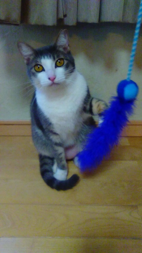 86E0A3D8-3837-40F7-A59A-57488B81C6BB