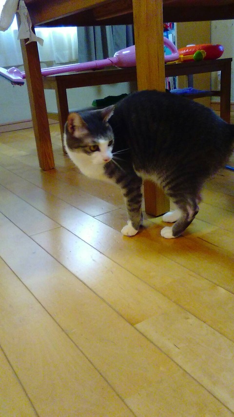 D069096E-678E-4F40-91E7-BC817FE5A5A6