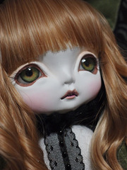 2PB250442