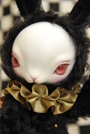 bDSC_0953