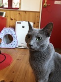 IMG_1903