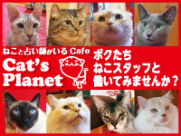 ジャーナルweb