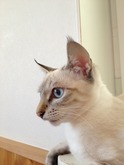 IMG_1960