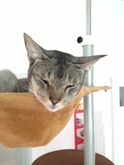 IMG_2260
