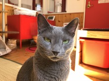 IMG_0676