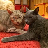 IMG_1256