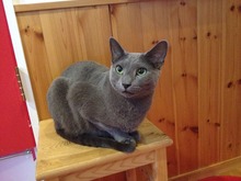 IMG_0824