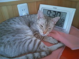 おらっこ