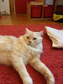 IMG_0666