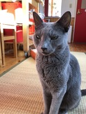 IMG_0522